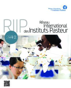 Rapport international 2012